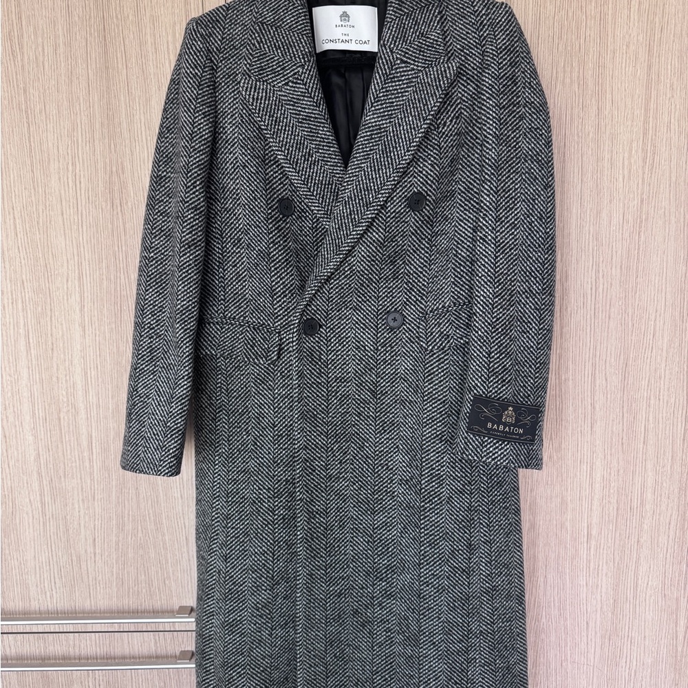 Aritzia Babaton the Costant Coat